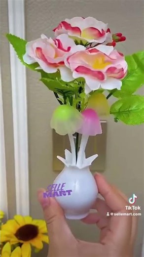 "Good directions" for a TikTok video generally mean following best