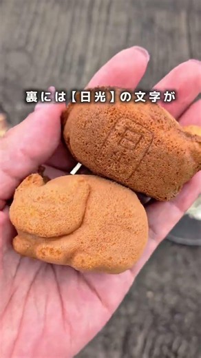 日光市に新たな癒し系スイーツが誕生🐱＼730リニューアルオープン／東武日光駅から徒歩2分の場所にある永井園昭和31年創業の老舗お茶屋さんで招き猫ならぬ眠り猫スイーツが買えちゃう