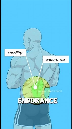 4 Exercises for a Lower Back (Last One is OP!)