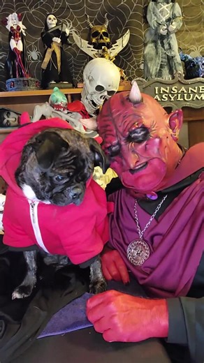 Uncle B's Bad Halloween Jokes You've been warned #bad #jokes #funny #scary #creepy #halloween #horror #horrorcommunity #millersmonsters #reels #horrorhost #horrorfan #vlog #shorts #foryoupage | Miller's Monsters | Facebook