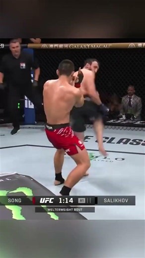 Beautiful spinning wheel kick KO#usa #boxing #ufc #ko