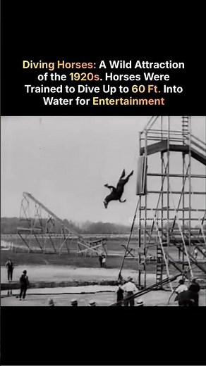 When People Paid to Watch Horses Dive From 60 Feet😱 #history #explore #youtubevideo #youtubeshorts