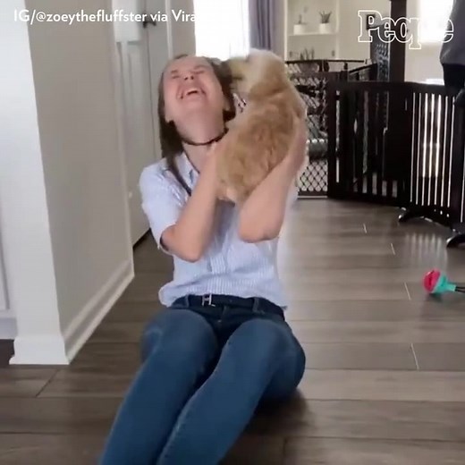 576K views · 21K reactions | That's one excited pup! 梁 | People | Facebook