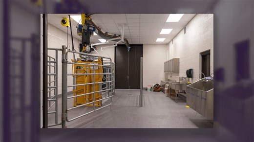 On July 10, LSU Vet Med cut the ribbon on a newly renovated Food Animal space in our LSU Veterinary Teaching Hospital. This state-of-the-art space is another step in LSU Vet Med's commitment to provide elite animal healthcare and strengthens our ability to protect Louisiana's $2.5 billion agricultural economy. #WeHeal #WeProtect #LSUVetMed #veterinarymedicine #LSU | LSU School of Veterinary Medicine