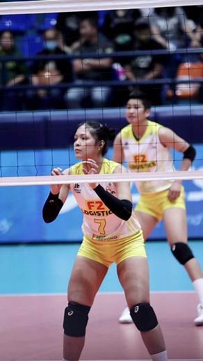 Shola Alvarez F2 Logistics Cargo Movers Highlights