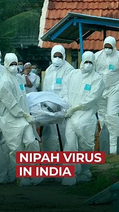 A scary virus may enter in Nepal. And this time, it is not coming from China but from India. In West Bengal, India, more than 100 people have been infected with the Nipah virus, and quarantine orders have been issued. According to reports, there is no cure for this virus. Its fatality rate is 40–75%. This means that out of every 100 infected people, 40 to 75 people have lost their lives due to this virus. The virus can spread through contaminated food or from person to person. Because of the ope