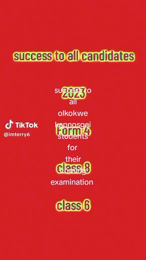 Mr. Elephant 🐘 (@mr..elephant)’s videos with original sound - Mr. Elephant 🐘