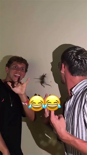 The insect invasion 😂😂#omg #scared #funny #insect #fyp