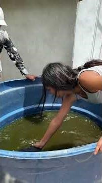 Turtle soup 😋👩🏽‍🍳🐢 #animals #recipes #vlog #site #viral