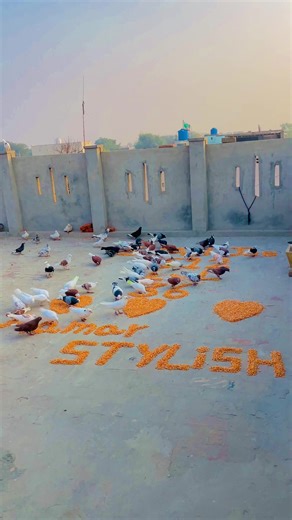 Creative Ways to Choose Unique Names in Videos