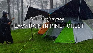 67K views · 2.1K reactions | Camping in the heavy rain at forest | Viral Webs | Facebook