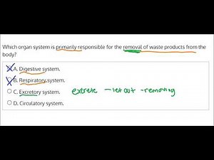 CCMA Test Assessment Q18