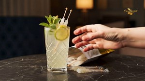 Dryden & Palmer Swizzle Sticks, Rock Candy Sticks - 5.75", White, Wrapped (Pack of 30)