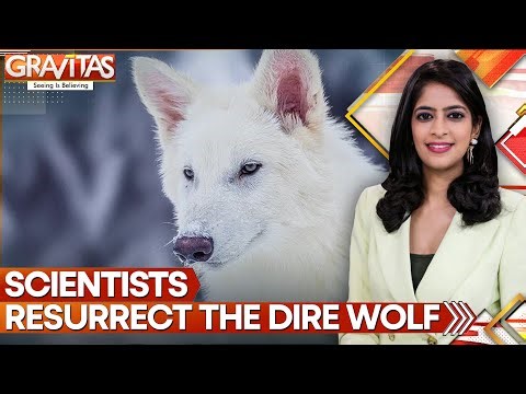Back From The Dead: Dire Wolf Reborn In Radical Genetic Leap | GRAVITAS