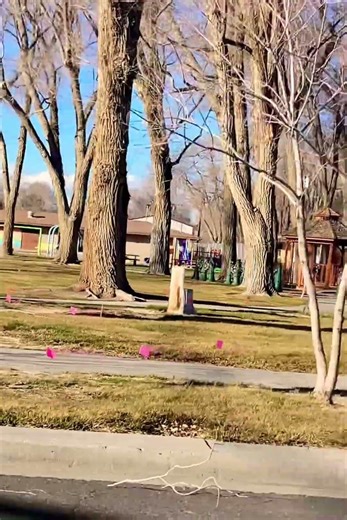 #Flags #Colors #Signs @fbi @SenatorCortezMasto @SenJackyRosen @HomelandA2