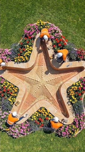 I Built a Starfish Pond in My Backyard! ⭐