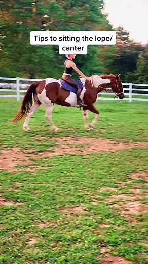 Improve Your Horse Riding Skills with These Essential Tips