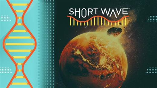 The core of Mars looks like Earth’s. What makes the planets so different? : Short Wave