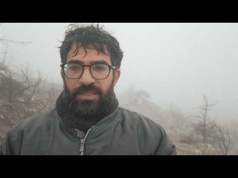 Vlog: mountain climb in the rain with my four dogs