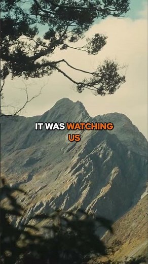 8 Foot Shadow Figure Stalked Us! Thermal Viewer Caught It