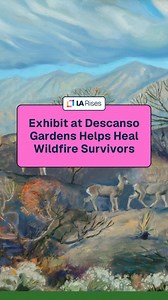 Here's your sign to unplug, take a walk outside, and hit a local art exhibit. Want to do it all at the same time? We've got your itinerary right here: Descanso Gardens is currently featuring Searching for Serenity, an exhibit that explores how a deep connection to art and nature can serve as a tool for individual transformation, renewal, and collective recovery. A response to the 2025 wildfire disasters in Los Angeles County, this is a must-see. The exhibit runs from November 1-January 4, 10am-4