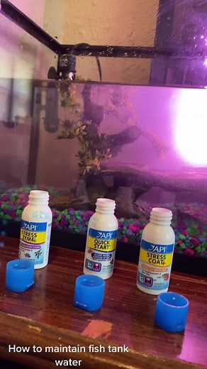 API perfect start kit! #fishtok #fishtank #fish