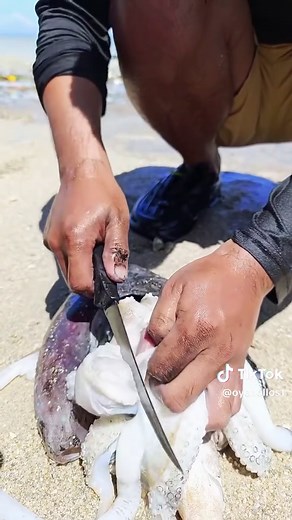 Amazing Cuttlefish Beak You Won’t Believe 🐙🔥 The cuttlefish has one of the most fascinating features in the ocean—its powerful beak. Hidden beneath its soft body, this sharp beak helps it catch and break down prey with incredible precision. This amazing creature is not only intelligent but also full of unique abilities that make it truly one of a kind. Watch till the end to see this incredible feature in action. Disclaimer: This video is created for educational and entertainment purposes only.