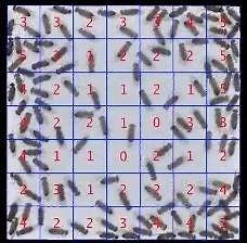 Our researchers are connecting the dots between electrons and human behavior. https://bit.ly/2Pkxx6e | Cornell Engineering