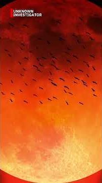 The Red Moon What They Don’t Tell You 🌕😱 | Real Reason Behind the Blood Moon