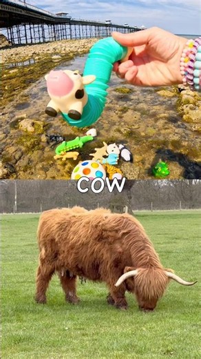 Toy Learning Fun | Kids Learn Animal Names by the Pier: Sloth Hippo Crocodile Cow Sheep