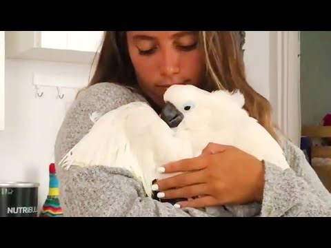 Animals who trust humans more than anything
