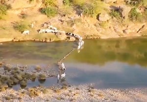 129K views · 3.8K reactions | Steam Locomotive Era in Pakistan | Pak Rail Tech | Facebook