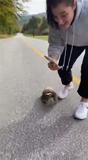 "Sloth Runs Crazy Fast for the First Time! 🐾😂"