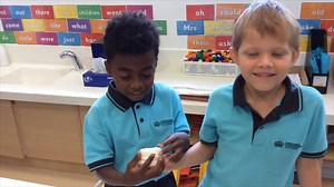 27 reactions · 4 comments | Year 2 celebrate Gender Equality and Book Week with an amazing video | Nord Anglia International School Hong Kong | Facebook