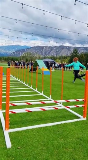 18. Obstacle Course Duo: Dog & Owner 🐶🏃‍♂️✨😂💕