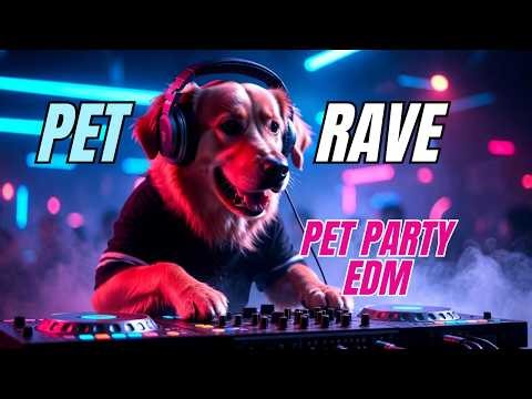 Pet Rave — DJ Puppy - EDM Party
