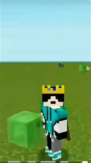 top 3 reyarest mob in minecarft