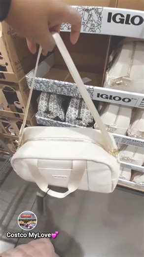 Igloo Luxe Lunchbox at Costco Metepec 💕 01/25/26 #costco #lunchbox #igloo #luxe #lunch #short