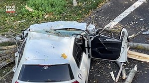 A79 AFGESLOTEN DOOR OMGEVALLEN BOOM OP AUTO: TWEE GEWONDEN Omstreeks 11:20 uur kregen de hulpdiensten melding van een omgevallen boom op een auto op de A79 ter hoogte van Meerssen. Door de storm die donderdag over het land trekt waaide een boom op een auto. De twee inzittenden zijn met verwondingen overgebracht naar het ziekenhuis. De ravage is groot Door de opruimwerkzaamheden is de snelweg enige tijd afgesloten geweest en is ondertussen weer open de file wordt langzaam minder. | Wat is loos in
