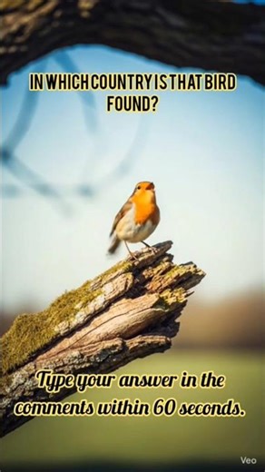 Comment Your Answer Fast! 😎🧠 | 60-Seconds Genius Challenge