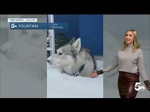 Meteorologist Alex O'Brien Weather Reel December 2023