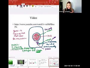 Proteins and Nucleic Acids