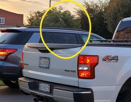 "I've noticed these rods attached to the backs of most trucks around here—what are they for?" (check in the first comment👇) | Animal World