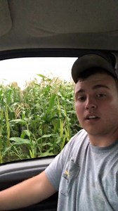 The not so fun side of farming. Bad weather #farmtok | The Popcornfarmer