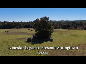 Springtown, Texas: Dinosaurs Lived Here!