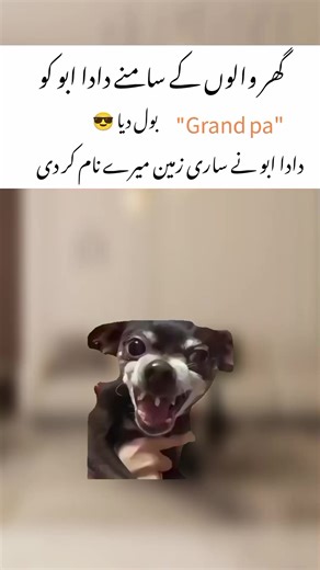 Explore Hilarious Heavy Memes That Make You Laugh