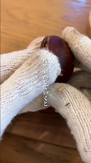 生栗の剥き方【冷凍保存で便利】