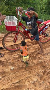 he cutest monkey-human duo ever! 🐒💞 #MonkeyMagic #HomeHappiness | Monkey Kaku