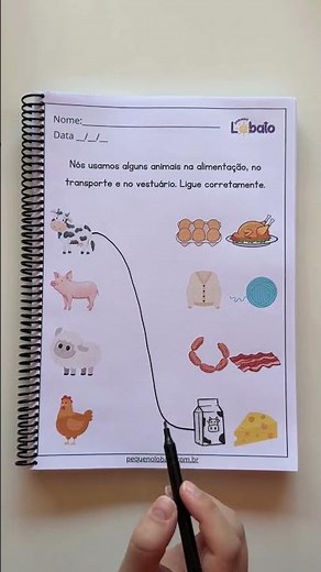 Science Activity – Animals and Their Uses for Humans