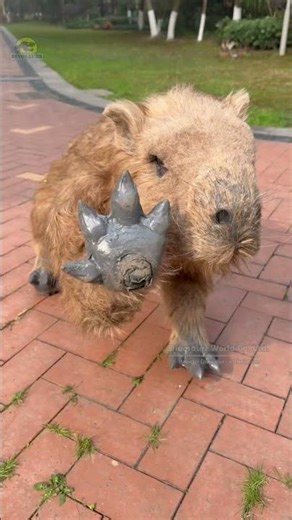 The World's First - Remote Controlled Life Size Dancing Capybara